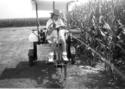 Bean Buggy Sprayer spraying beans