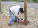 Pneumatic Wire Fence Stapler