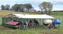 Green enclosure of 4-ft-tall wire hog fencing panels on metal tubing with white tarp cover & a  feed trough attached to 1 side & 2 55-gal drums for water strapped to another side.  2 wheels on back for moving enclosure