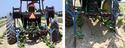 Left pic of tractor from back with wheels spanning 2 rows of crops and a spool of drip-tape mounted behind each rear wheel with a blue shank running to the ground from each one to lay or inject the tape. Rt pic close-up of same at ground level.